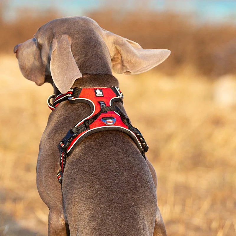 Truelove Reflective Adjustable No Pull Dog Harness for Walking and Running