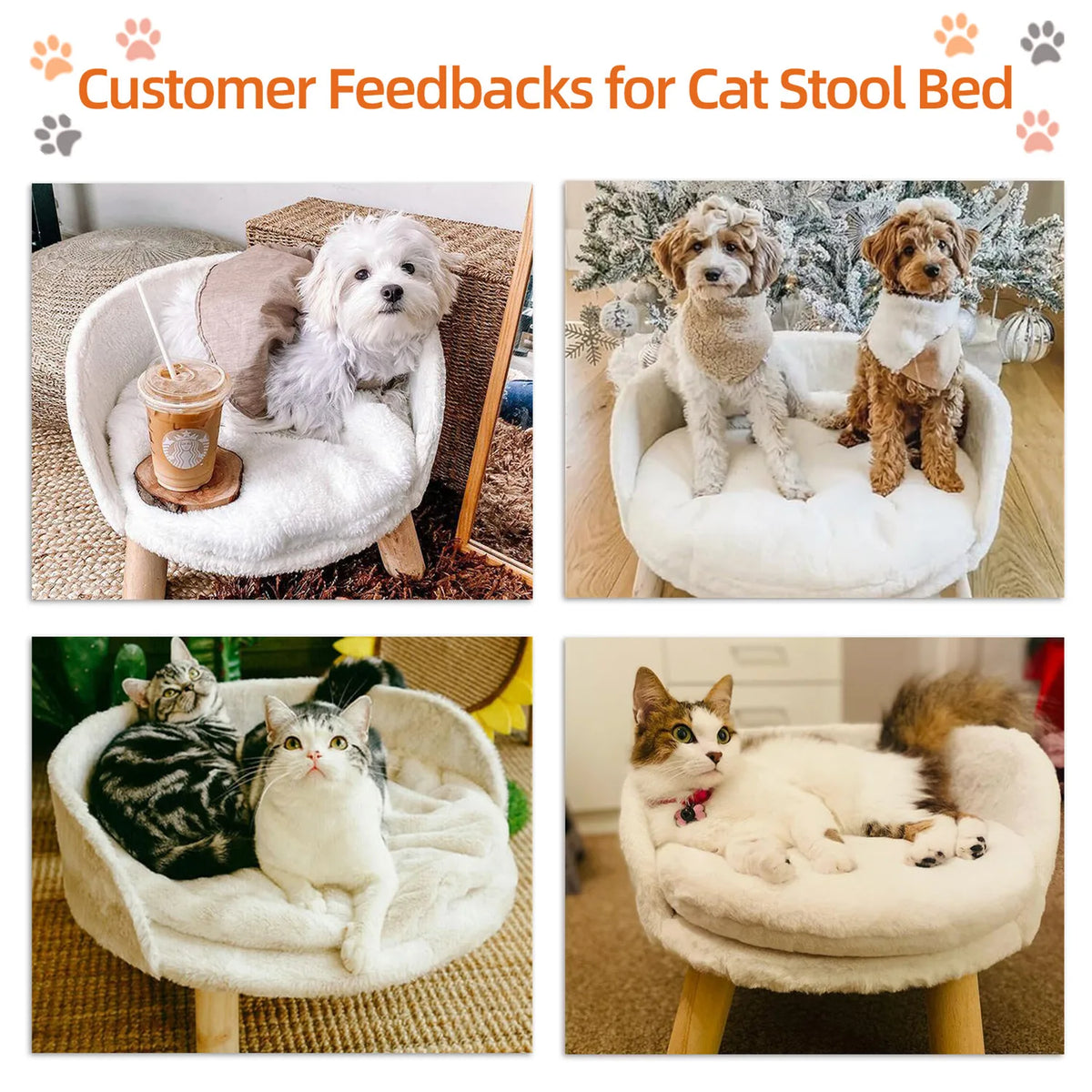 BINGOPAW Waterproof Wooden Pet Sofa Bed With Removable Cushion