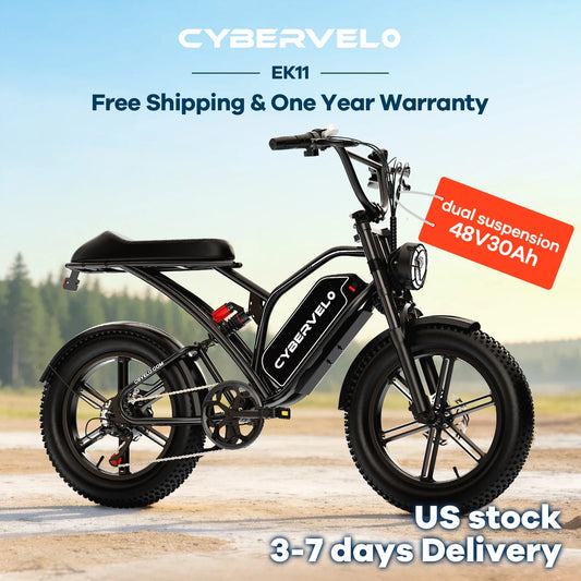 Aoango EK11 Fat Tire All Terrain Electric Bike Removable Battery