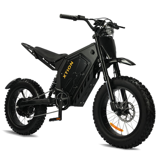 Xtion Electric Mountain Bike With Removable Battery And Dual Suspension